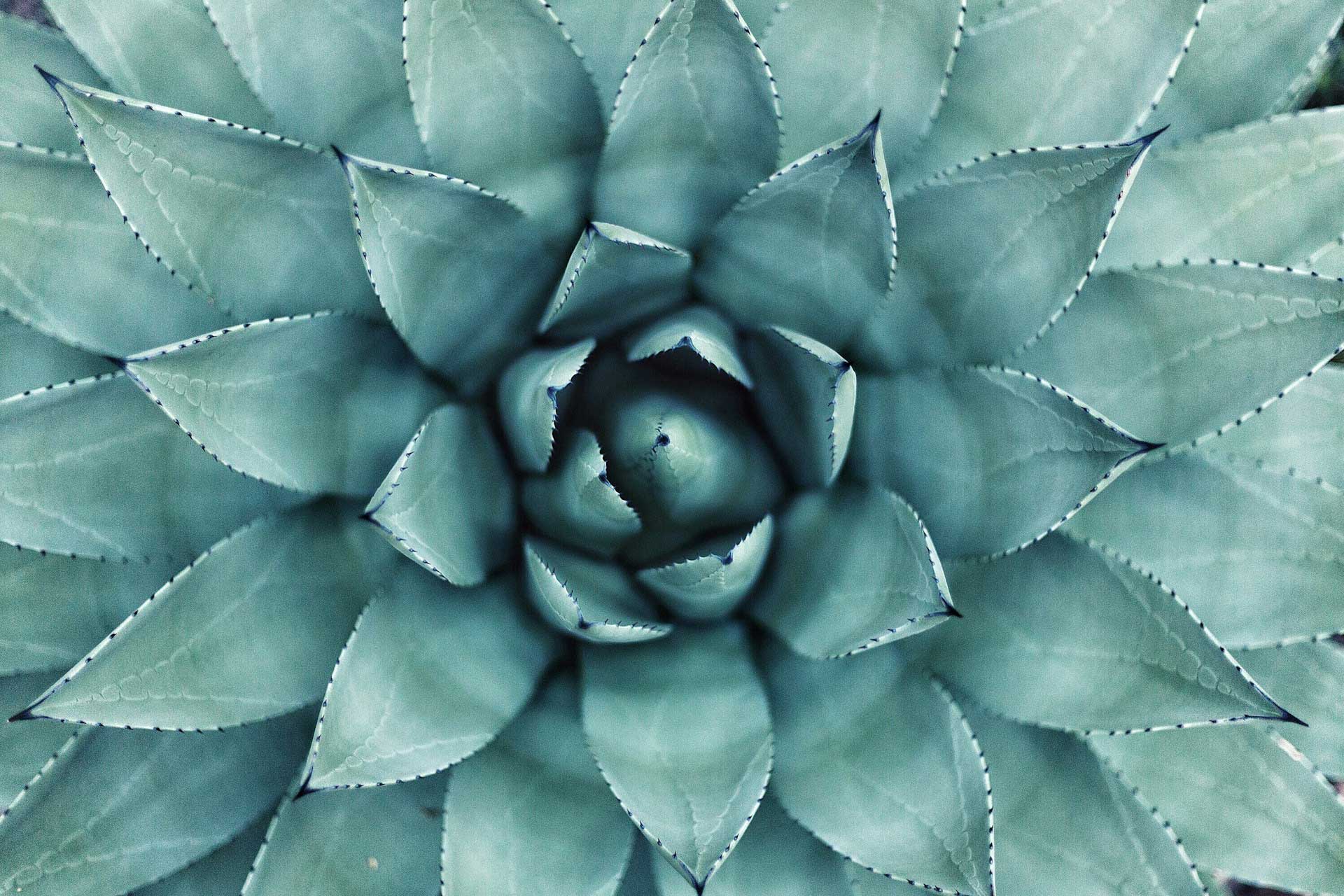 Sensing the core